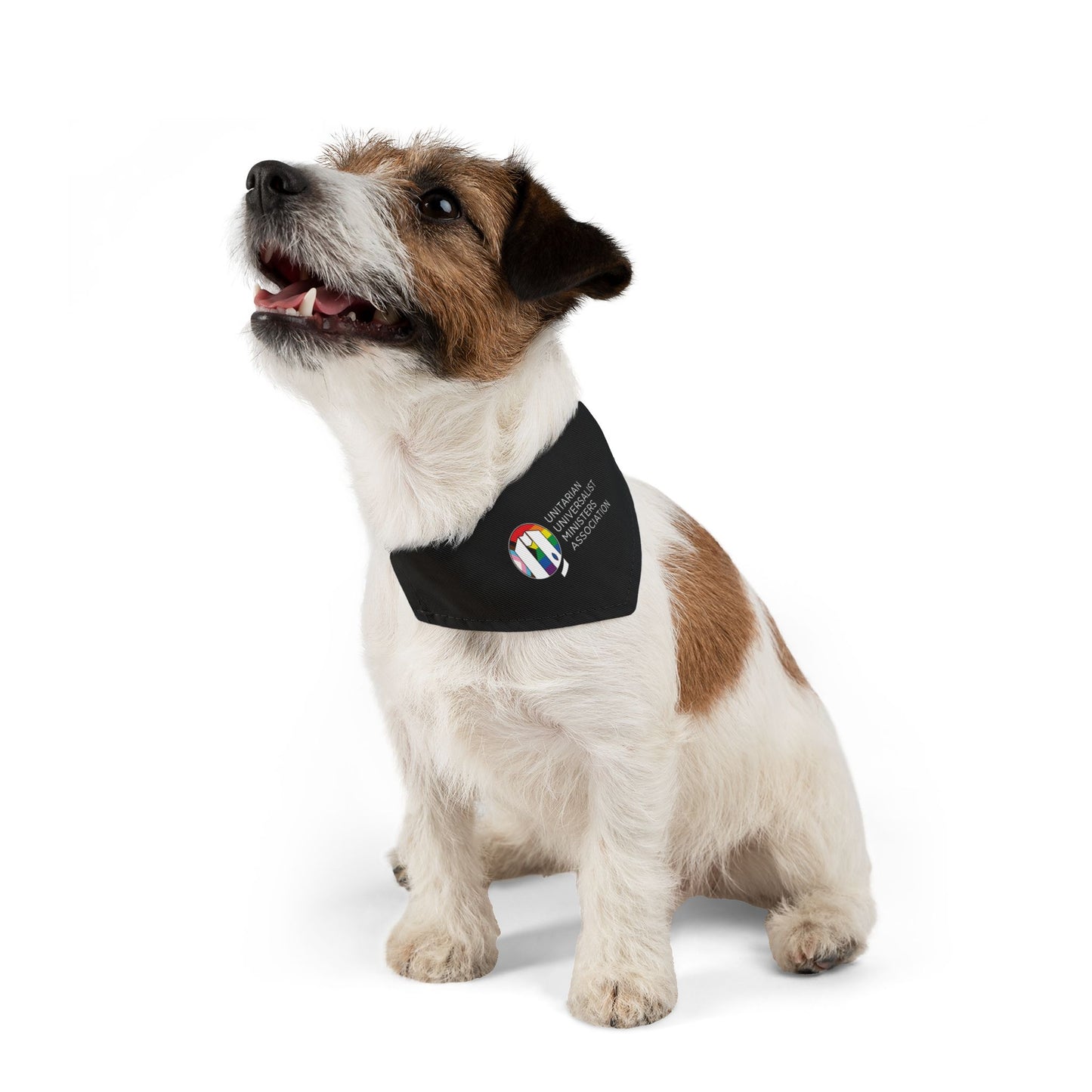 UUMA Rainbow Logo Pet Bandana Collar