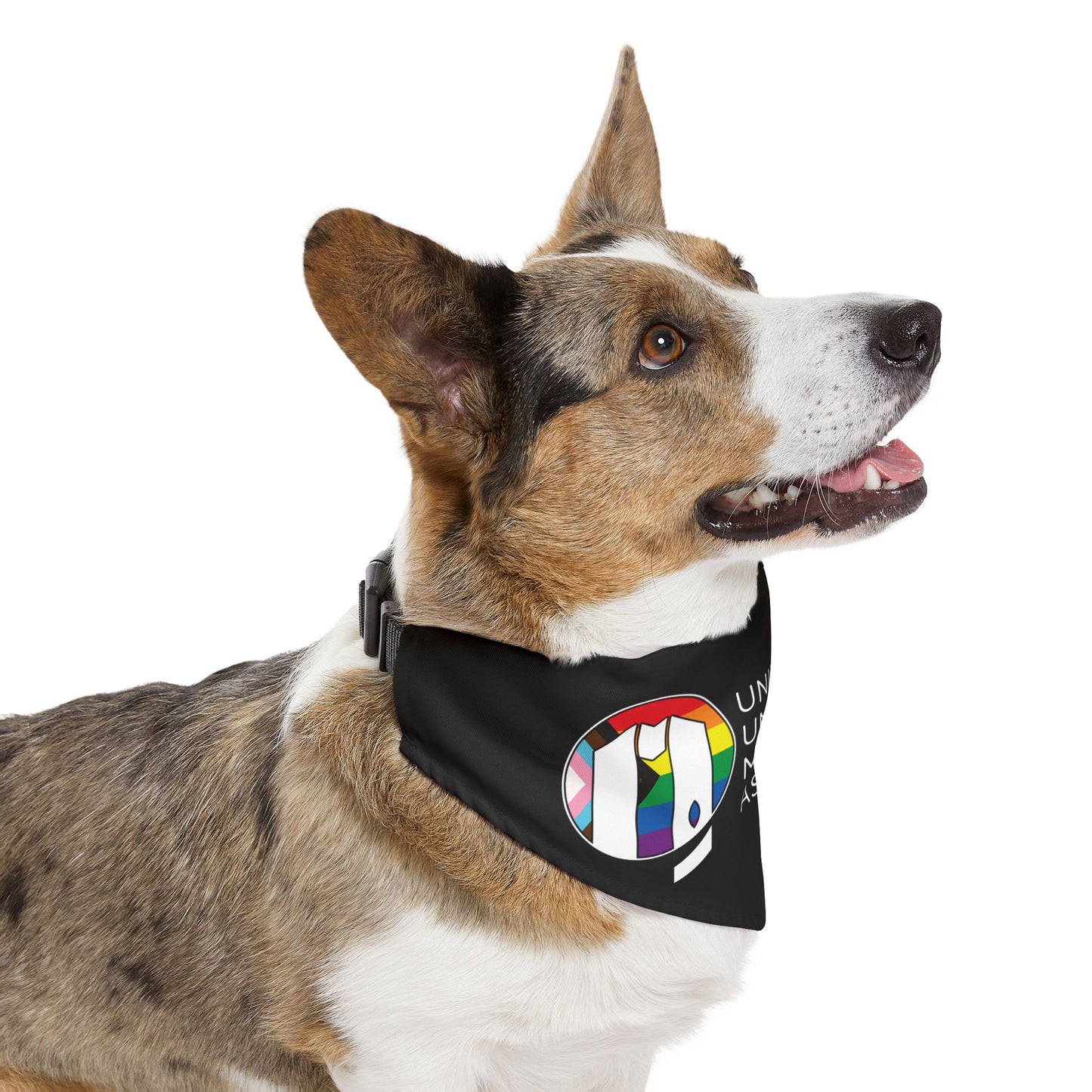 UUMA Rainbow Logo Pet Bandana Collar