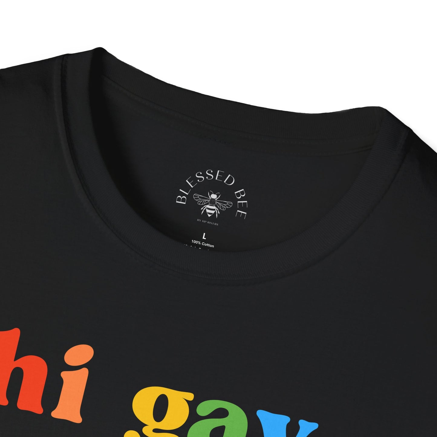 Hi Gay, I'm Dad - Dad Joke T-Shirt - Adult (Front & Back)