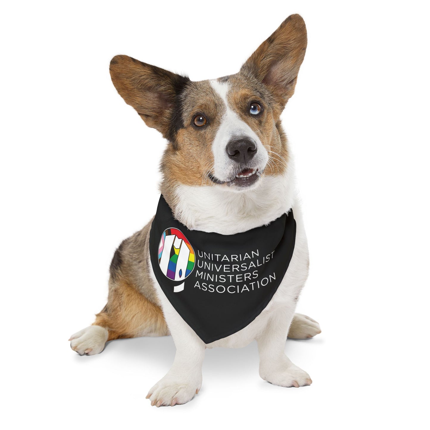 UUMA Rainbow Logo Pet Bandana Collar
