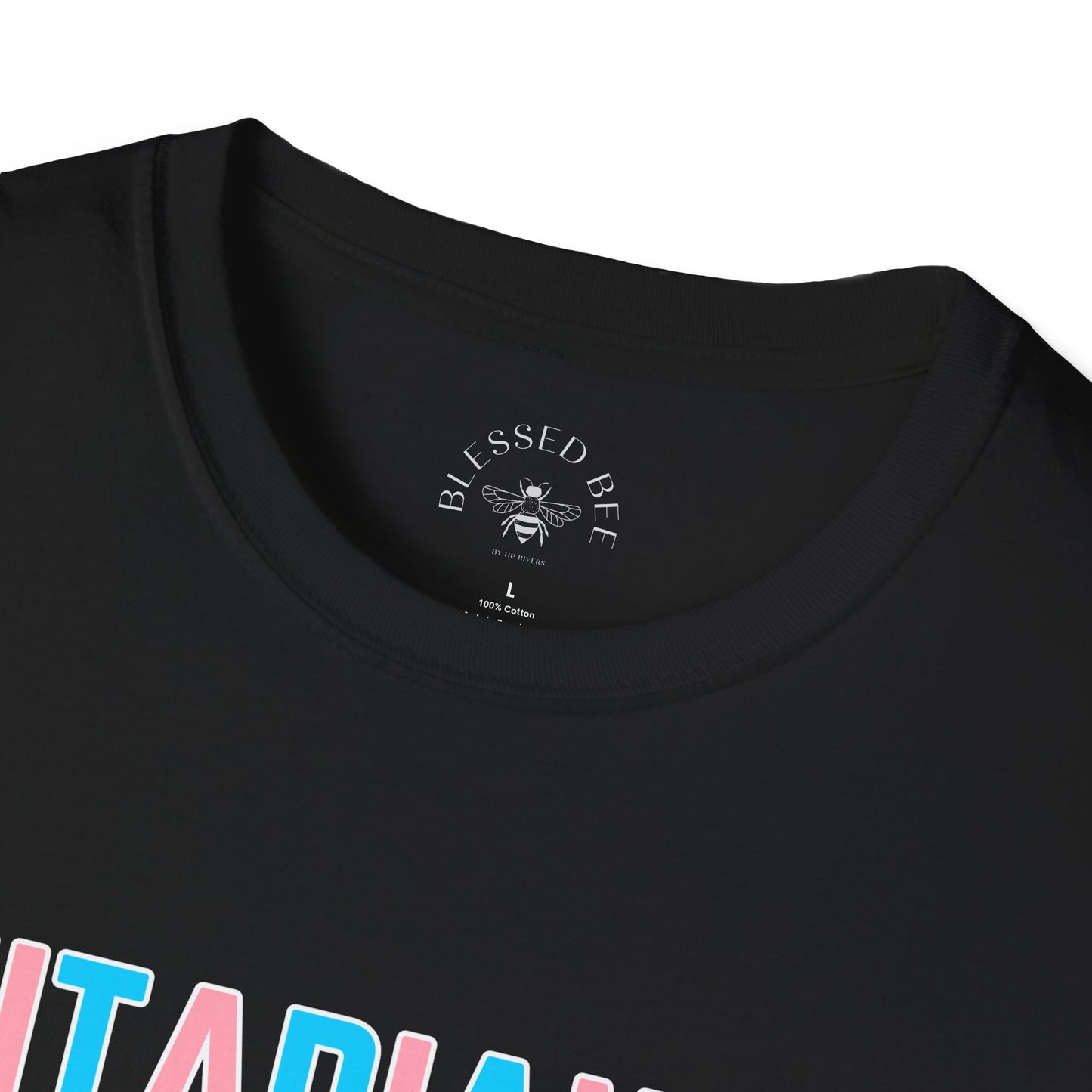 This Unitarian Universalist Loves You Pride Tee
