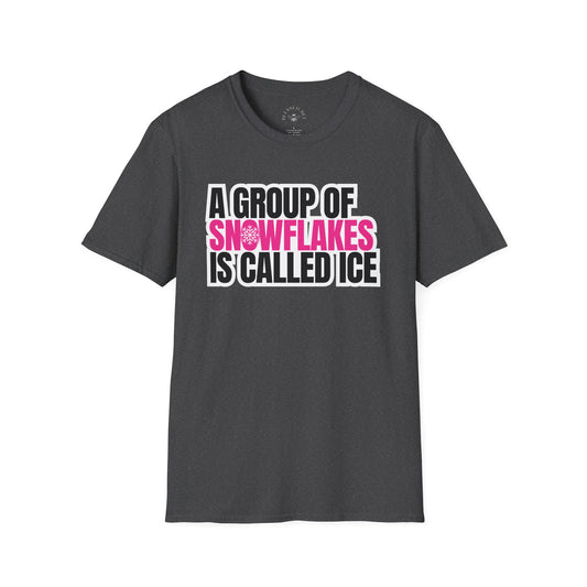 A Group of Snowflakes is Called ICE T-Shirt