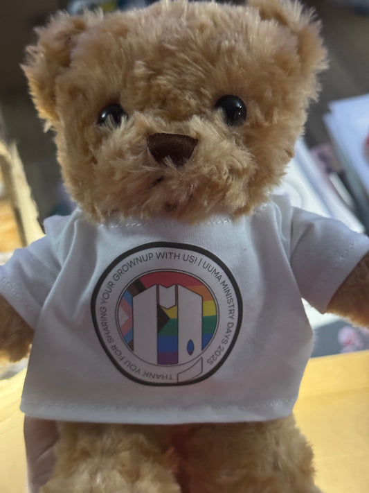 Teddy Bear T-Shirt - Price Includes Shipping, Personalized Note & Sticker